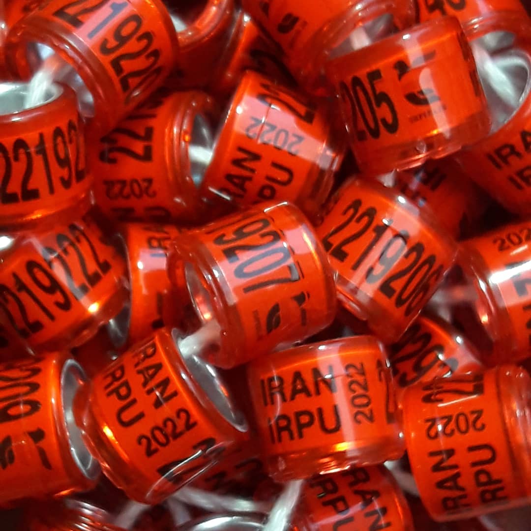 پلاک تاریخ گذشته 